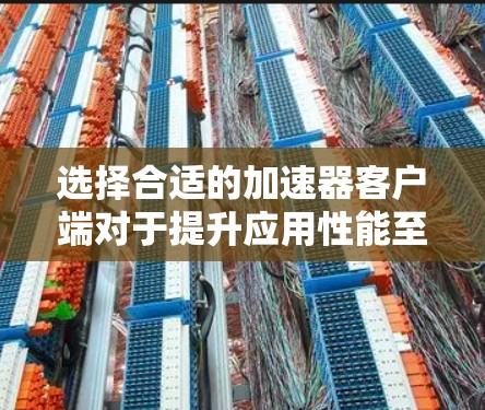 选择合适的加速器客户端对于提升应用性能至关重要。以下是根据需求和项目特点的加速器客户端选择指南