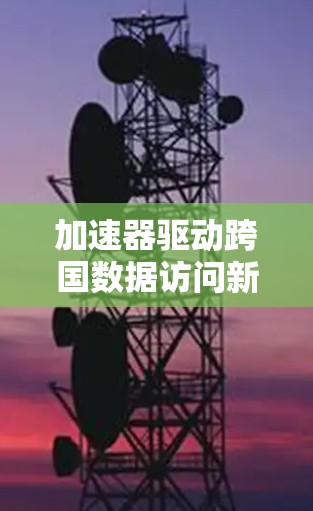 加速器驱动跨国数据访问新时代