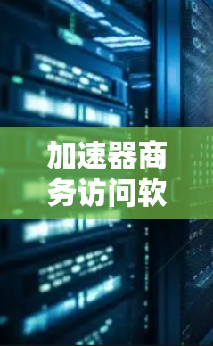 加速器商务访问软件，提升企业网络效率的秘密武器