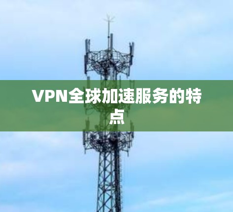 VPN全球加速服务的特点