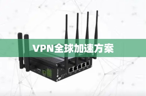 VPN全球加速方案