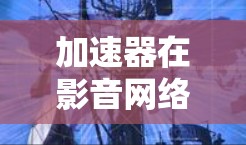 加速器在影音网络中的应用主要是为了优化数据传输速度，减少延迟，提高用户体验。以下是对加速器在影音网络中的详细分析