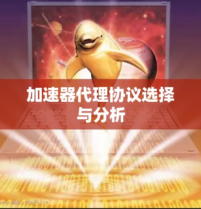 加速器代理协议选择与分析 加速器代理协议选择与分析