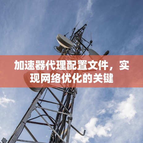 加速器代理配置文件,实现网络优化的关键 加速器代理配置文件,实现网络优化的关键