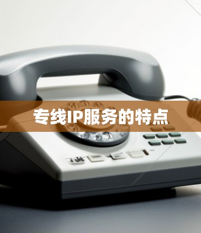 专线IP服务的特点