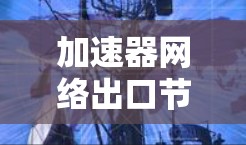 加速器网络出口节点，技术分析与应用