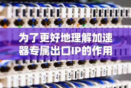 为了更好地理解加速器专属出口IP的作用及其配置方法，请按照以下步骤进行操作