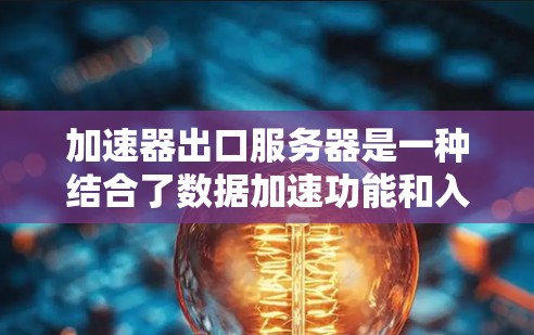 加速器出口服务器是一种结合了数据加速功能和入口服务器功能的网络设备，其在互联网中的作用主要包括以下几个方面