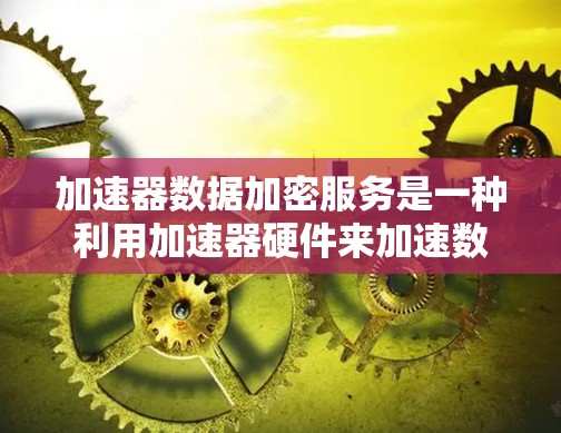 加速器数据加密服务是一种利用加速器硬件来加速数据加密和解密的服务，旨在提高处理速度和效率，特别适用于大数据量和实时任务的场景。以下是对该服务的详细分析