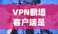 VPN翻墙客户端是用于管理和控制VPN连接的软件,帮助用户绕过网络限制,保护隐私和安全。以下是关于VPN翻墙客户端的详细说明 VPN翻墙客户端是用于管理和控制VPN连接的软件,帮助用户绕过网络限制,保护隐私和安全。以下是关于VPN翻墙客户端的详细说明