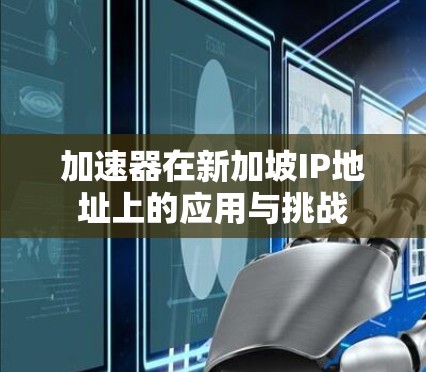 加速器在新加坡IP地址上的应用与挑战