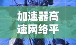 加速器高速网络平台，技术革新与应用潜力