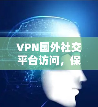 VPN国外社交平台访问，保障通信安全与隐私