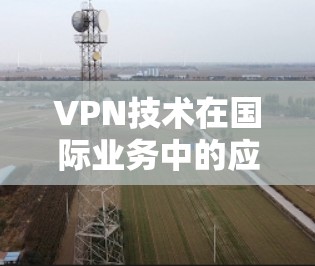 VPN技术在国际业务中的应用及挑战