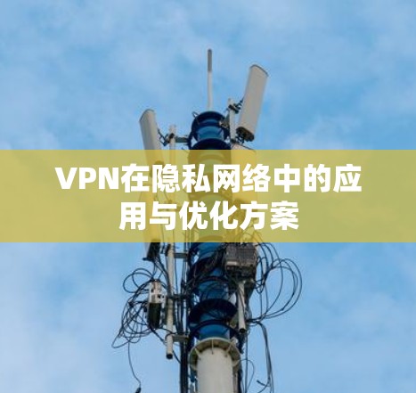VPN在隐私网络中的应用与优化方案