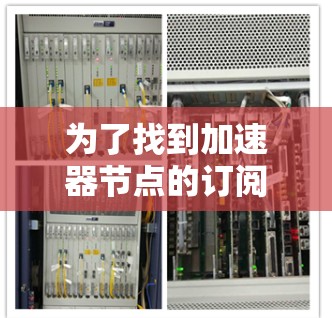 为了找到加速器节点的订阅地址，您可以按照以下步骤操作
