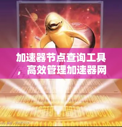 加速器节点查询工具，高效管理加速器网络