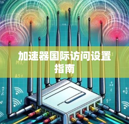 加速器国际访问设置指南