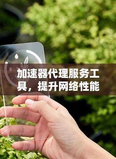 加速器代理服务工具,提升网络性能与效率 加速器代理服务工具,提升网络性能与效率