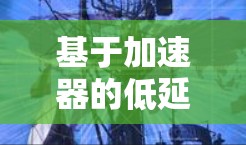 基于加速器的低延迟通信方案设计与实现