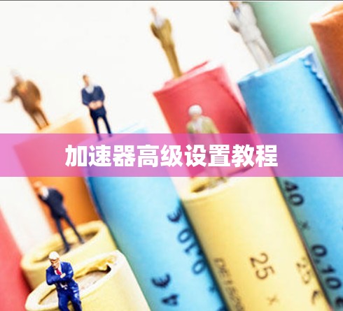 加速器高级设置教程