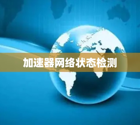 加速器网络状态检测