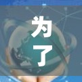 为了优化加速器的流量，以下是一个结构化的解决方案，涵盖了多个关键方面