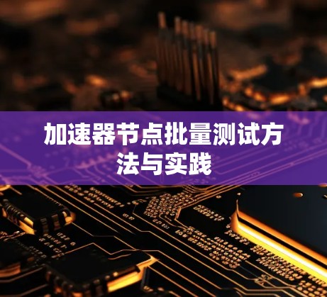 加速器节点批量测试方法与实践