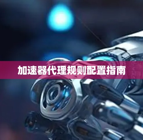 加速器代理规则配置指南