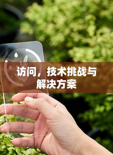 访问，技术挑战与解决方案