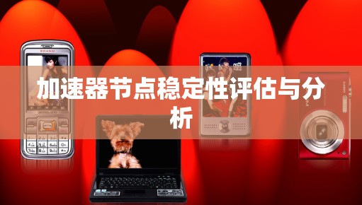 加速器节点稳定性评估与分析 加速器节点稳定性评估与分析