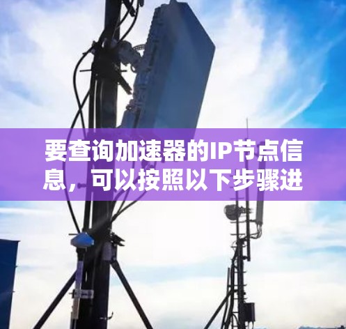 要查询加速器的IP节点信息,可以按照以下步骤进行 要查询加速器的IP节点信息,可以按照以下步骤进行
