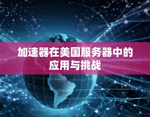 加速器在美国服务器中的应用与挑战