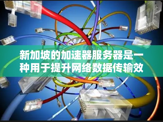 新加坡的加速器服务器是一种用于提升网络数据传输效率和用户体验的技术，主要应用于本地和区域内的数据访问。以下是对新加坡加速器服务器的详细分析