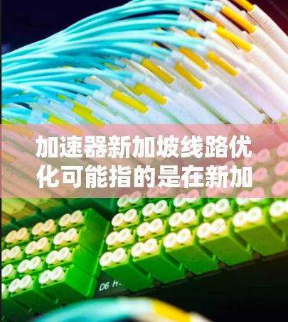 加速器新加坡线路优化可能指的是在新加坡的网络环境中优化数据加速器的性能，以提高数据传输和处理效率。以下是一些可能的优化方向和建议
