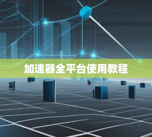 加速器全平台使用教程