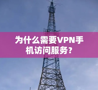 为什么需要VPN手机访问服务? 为什么需要VPN手机访问服务?