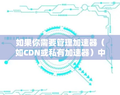 如果你需要管理加速器（如CDN或私有加速器）中国外的IP地址，可以按照以下步骤进行配置
