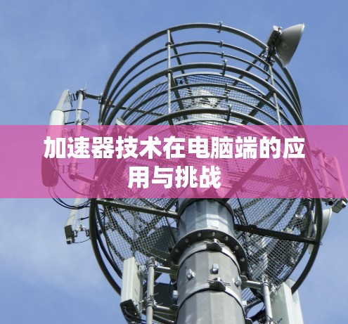 加速器技术在电脑端的应用与挑战