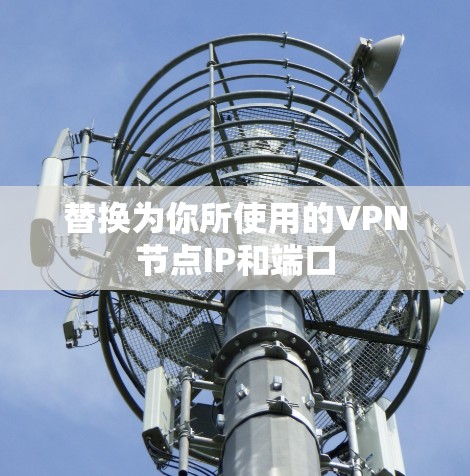 替换为你所使用的VPN节点IP和端口 替换为你所使用的VPN节点IP和端口