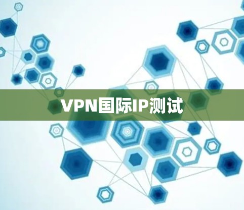 VPN国际IP测试