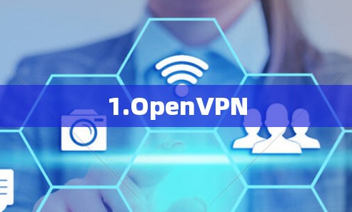 1.OpenVPN 1.OpenVPN