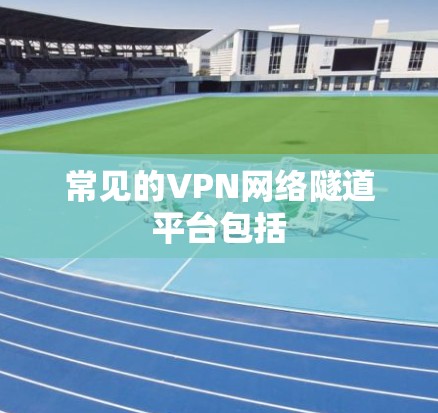 常见的VPN网络隧道平台包括 常见的VPN网络隧道平台包括