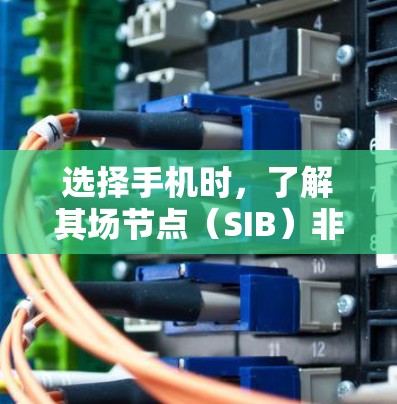 选择手机时，了解其场节点（SIB）非常重要。以下是详细的步骤指南，帮助你做出明智的购买决策