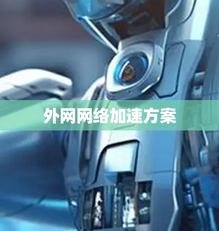 外网网络加速方案