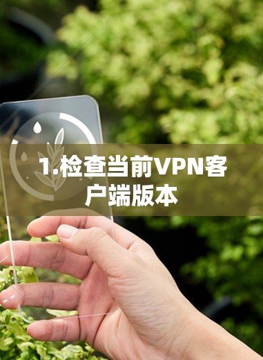 1.检查当前VPN客户端版本 1.检查当前VPN客户端版本