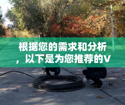 根据您的需求和分析，以下是为您推荐的VPN选择
