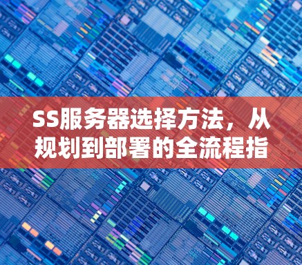 SS服务器选择方法,从规划到部署的全流程指南 SS服务器选择方法,从规划到部署的全流程指南