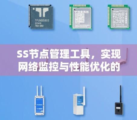 SS节点管理工具,实现网络监控与性能优化的关键技术 SS节点管理工具,实现网络监控与性能优化的关键技术