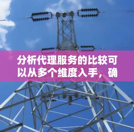 分析代理服务的比较可以从多个维度入手，确保全面覆盖各个方面。以下是一个结构化的比较分析框架，帮助您做出明智的选择